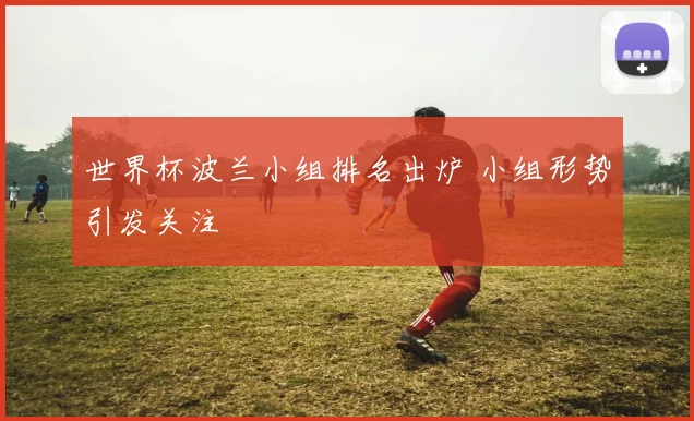 世界杯波兰小组排名出炉 小组形势引发关注